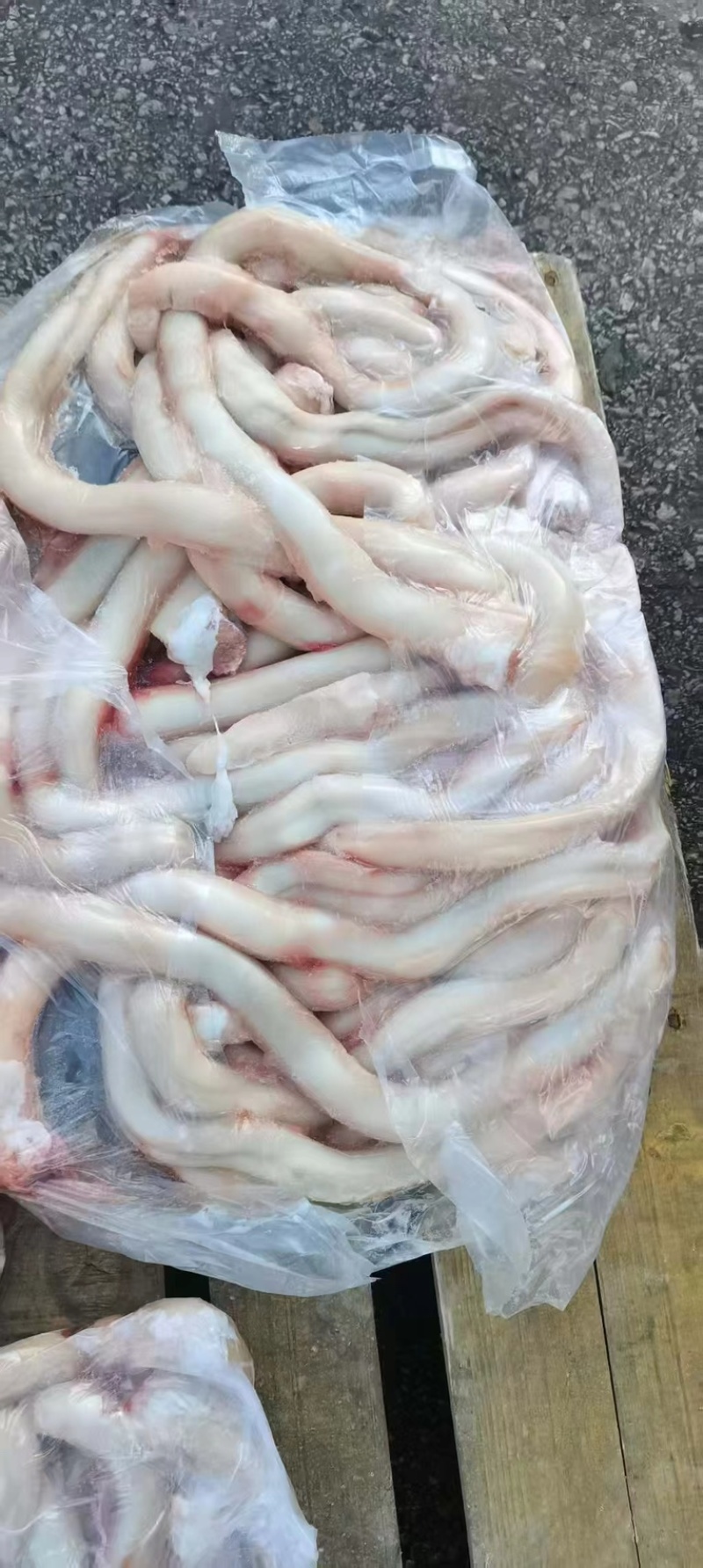 精修无根大牛鞭干净无油分四层大量有货