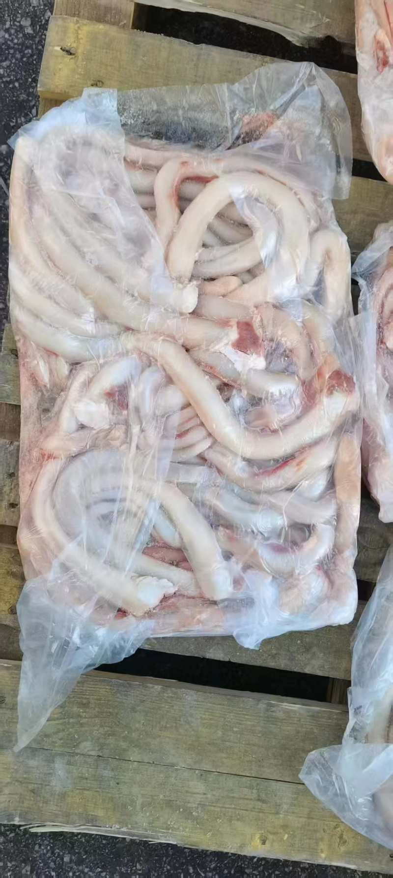 精修无根大牛鞭干净无油分四层大量有货