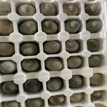 厂家处理裂纹，麻壳松花皮蛋