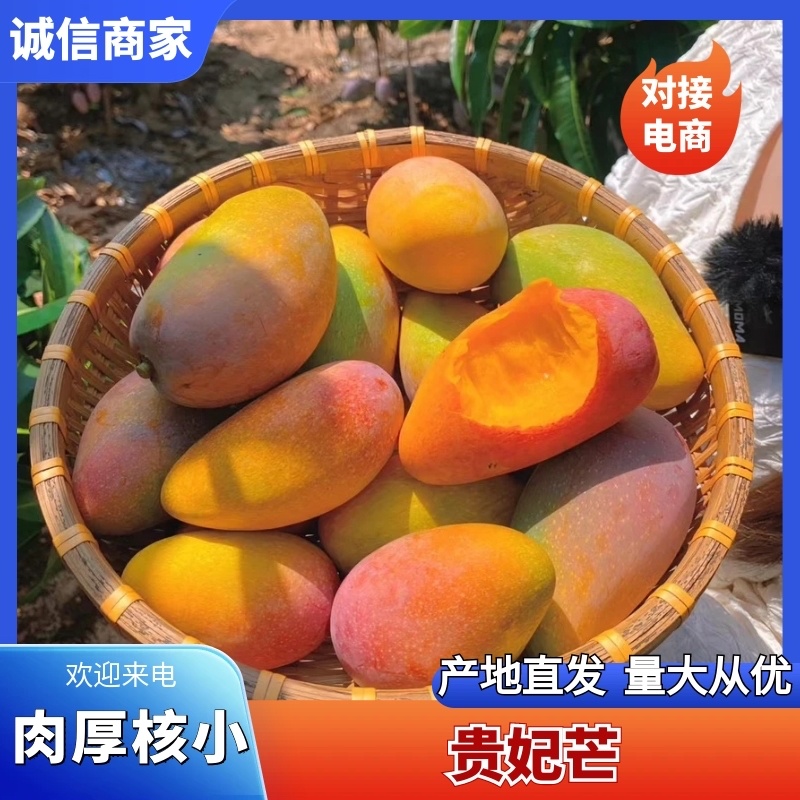 【热卖】海南三亚贵妃芒一件带框60斤批发接电商一件代