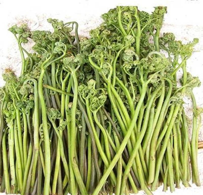 新鲜蕨菜，品质**