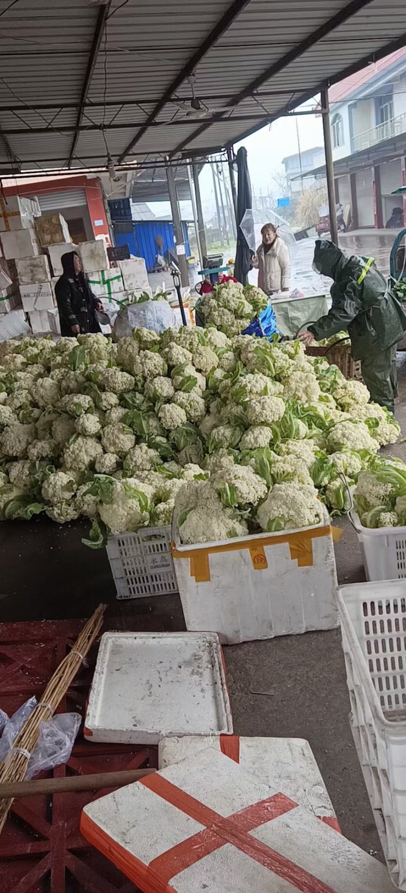 精品有机花菜颜色白，产地直接发货服务满意，价格实惠