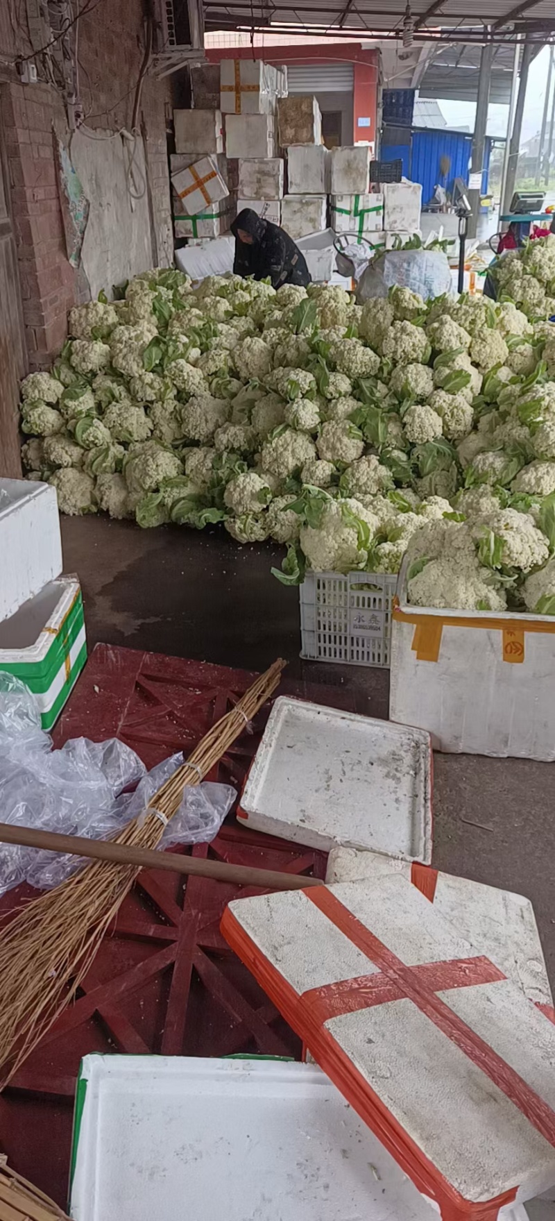 精品有机花菜颜色白，产地直接发货服务满意，价格实惠