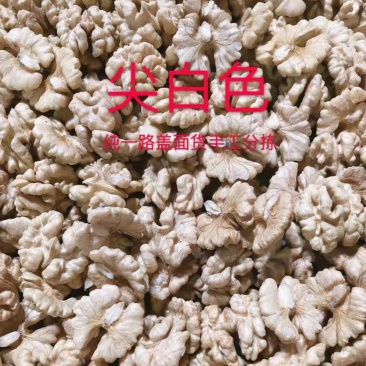 核桃仁纸皮核桃仁坚果干果保质保量可视频看货