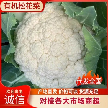 邯郸有机花菜质优价廉，供超市电商全国发货