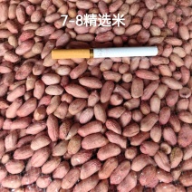 精选7-8规格花生米电商货中规格保质保量无坏米牙米华育种