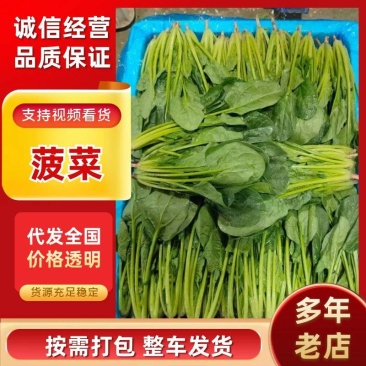 电商货，波菜产地直供【坏烂包赔】规格齐全品质有保证