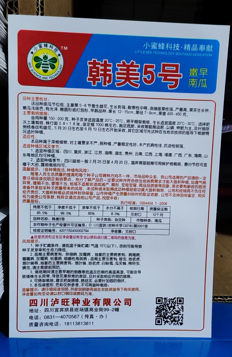 南瓜种子韩美5号青皮黄肉高品质早熟嫩南瓜结瓜多味美