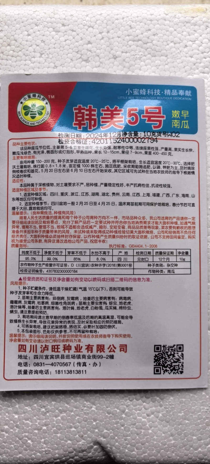 南瓜种子韩美5号青皮黄肉高品质早熟嫩南瓜结瓜多味美