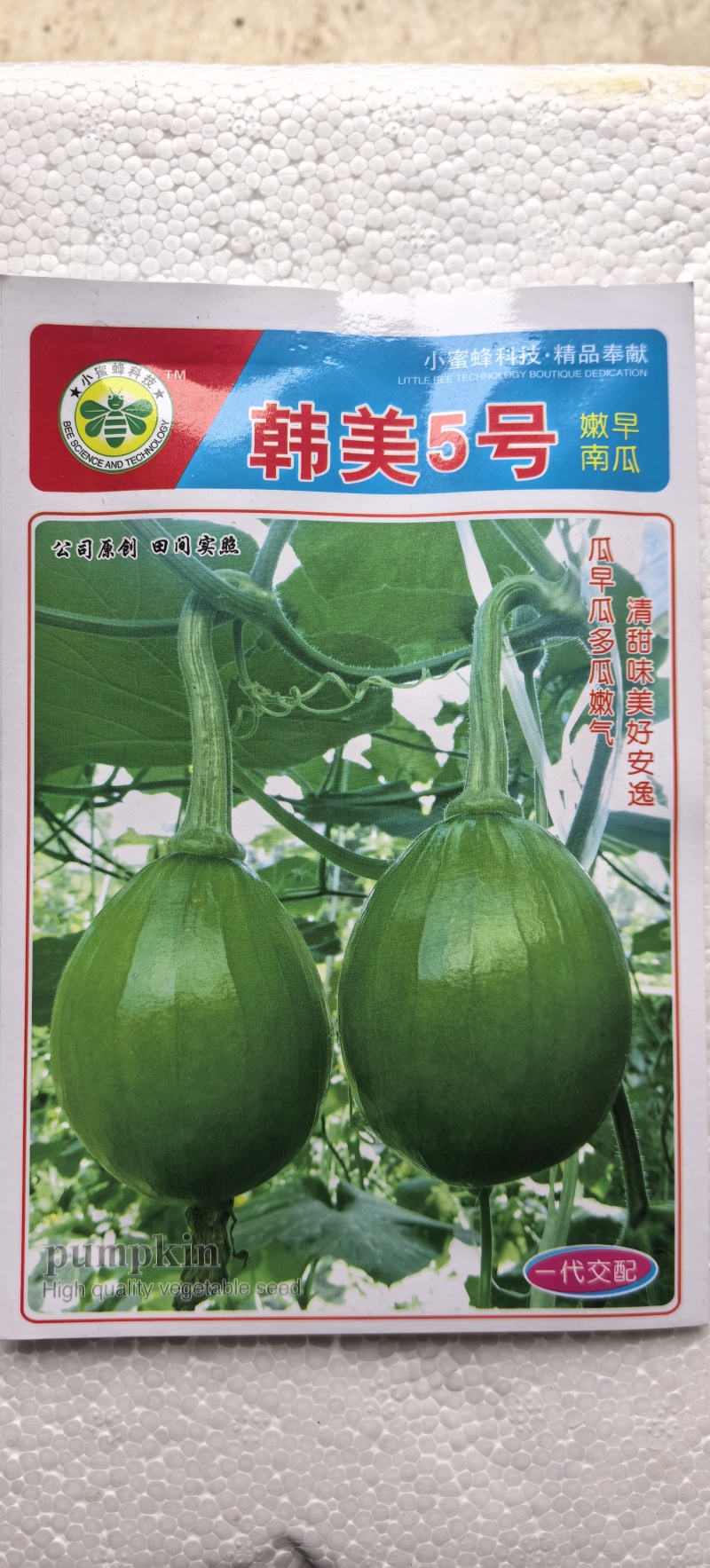 南瓜种子韩美5号青皮黄肉高品质早熟嫩南瓜结瓜多味美
