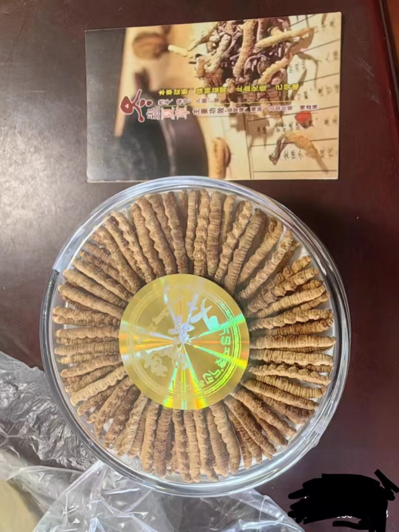 冬虫夏草【虫草】支持货到开箱验货，可发往全国市场！诚信经营