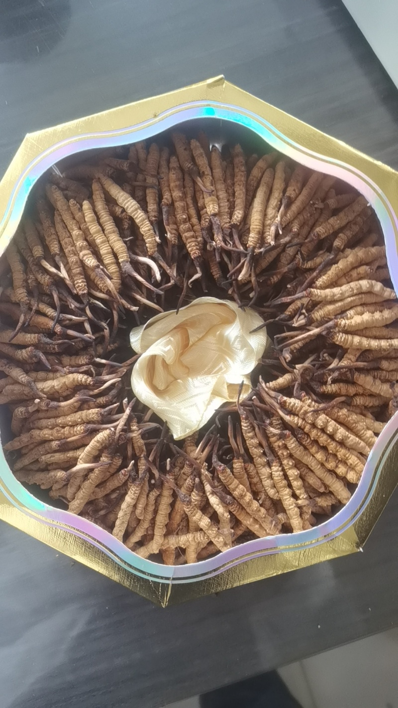 冬虫夏草【虫草】支持货到开箱验货，可发往全国市场！诚信经营