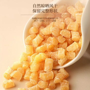 新鲜干贝瑶柱新鲜淡晒滋补煲汤支持一件代发批发源头发货
