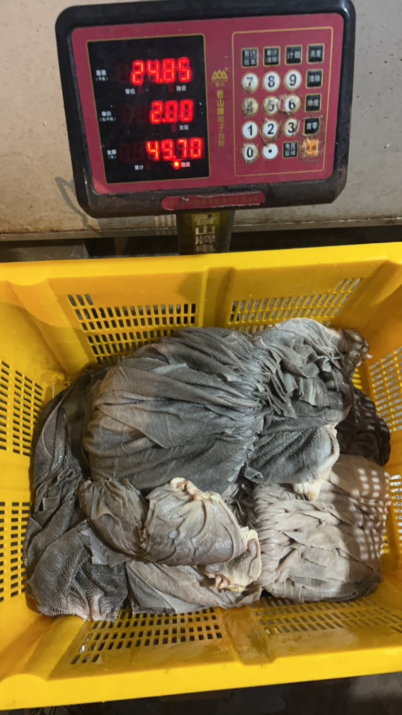 屠场精品鲜牛百叶