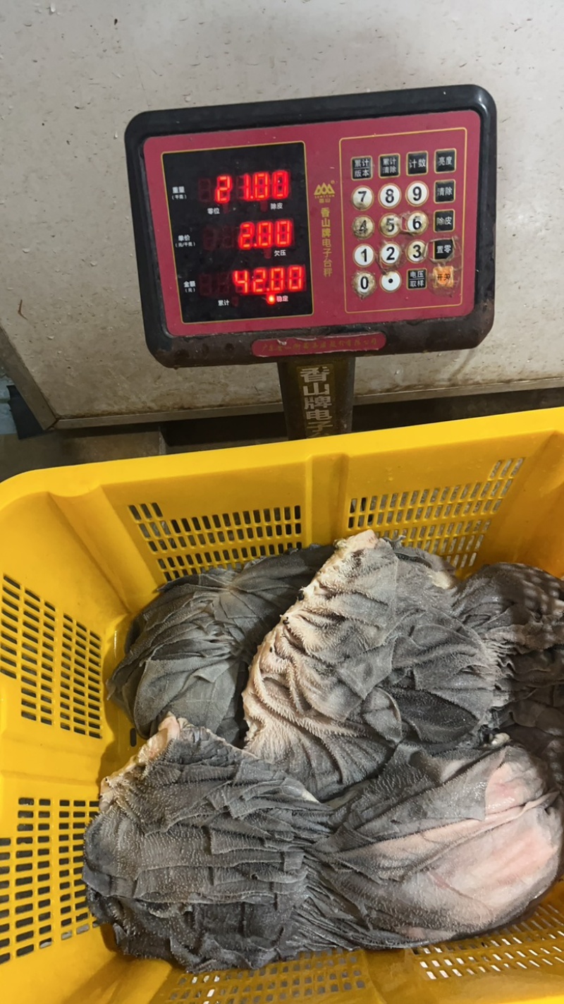 屠场精品鲜牛百叶