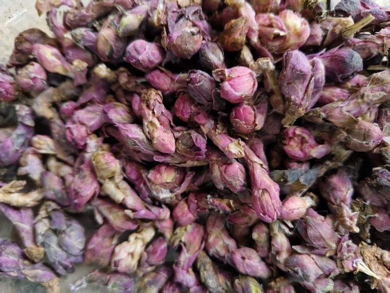 款冬花精品通货均有量大价优欢迎来电洽谈合作