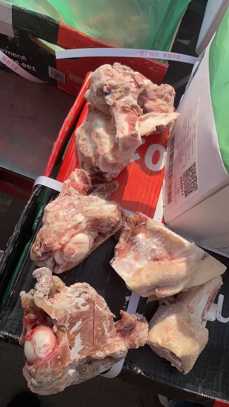 6001后腿骨