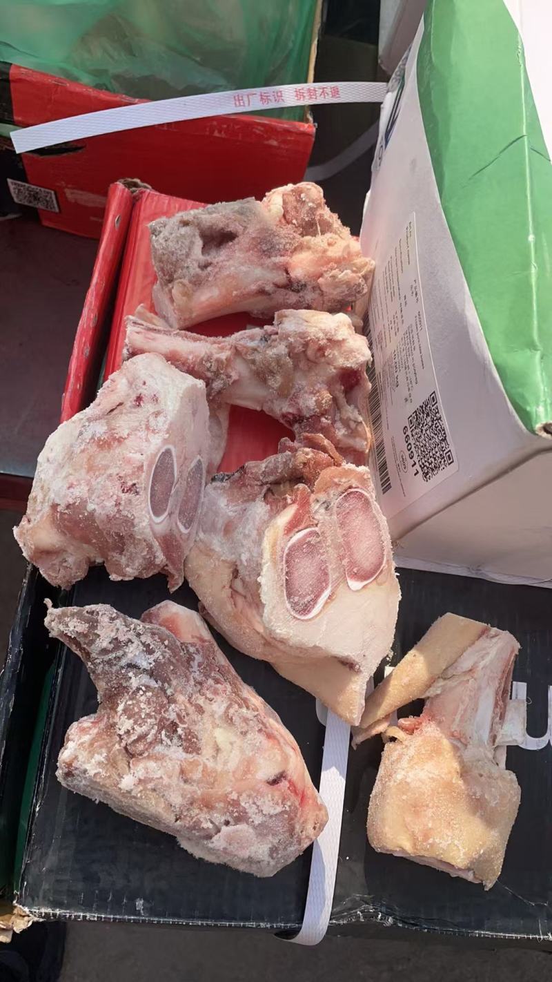 6001后腿骨