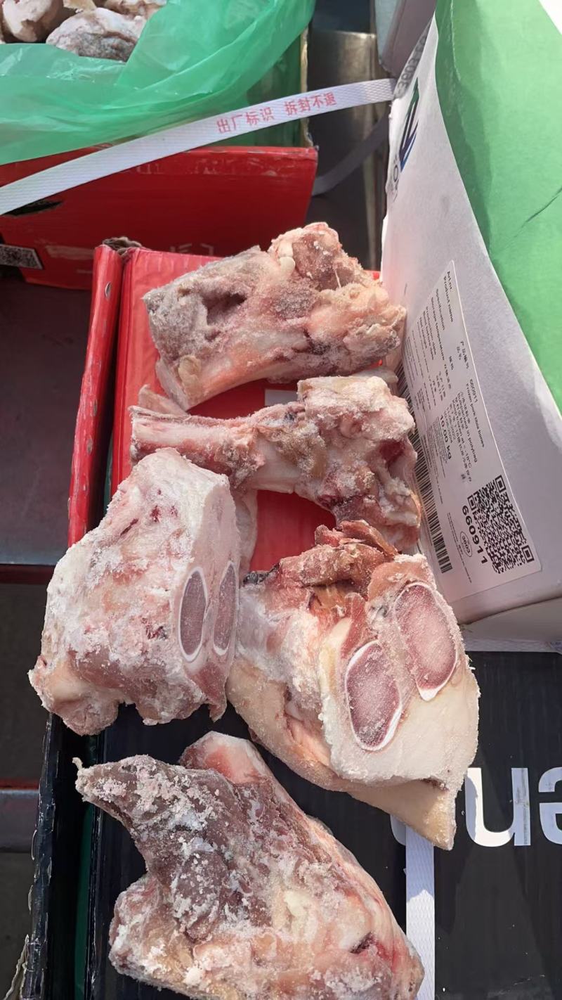 6001后腿骨