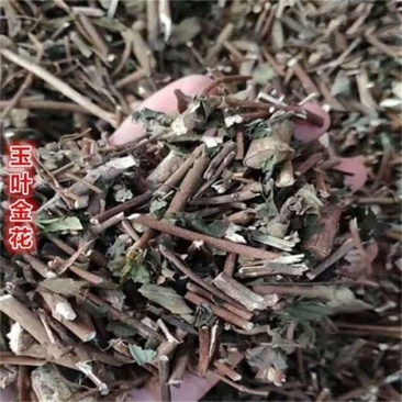 中草药玉叶金花五叶金花白纸扇、白头公野白纸扇、山甘草