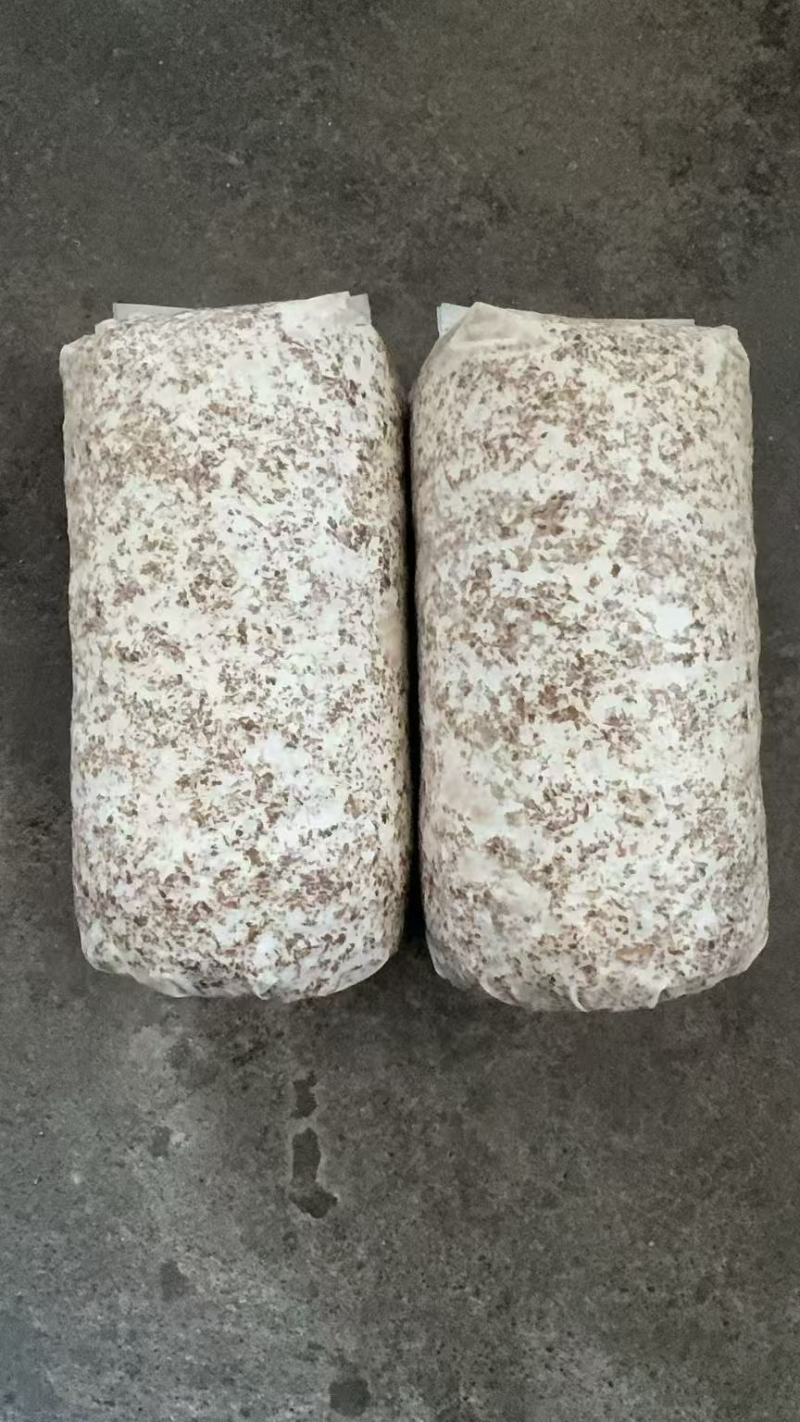 平菇菌棒超低价，售完为止