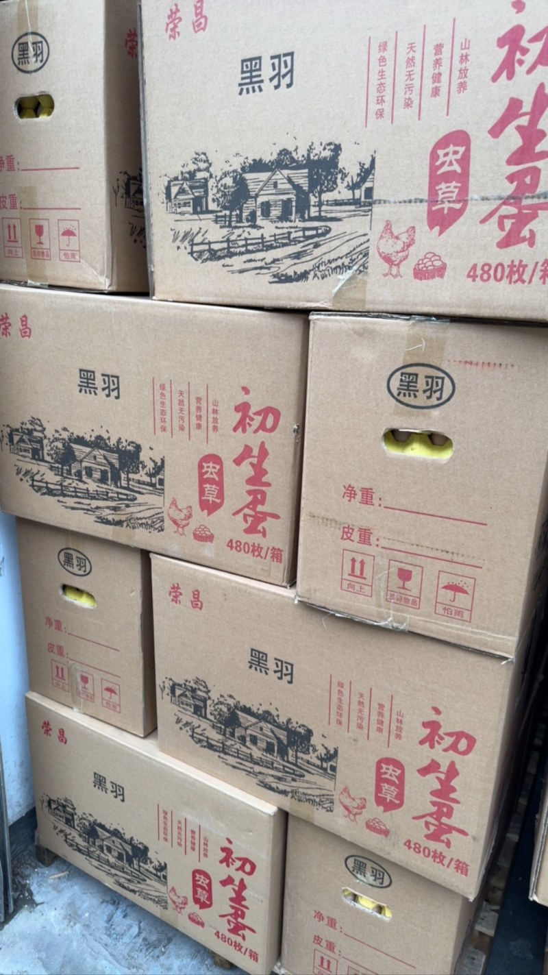 精品双色新杨黑，蒸炒煮蛋黄金黄色，产地直发，一手货源