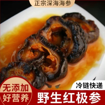 厂家直供即食红极参海参支持一件代发批发源头发货