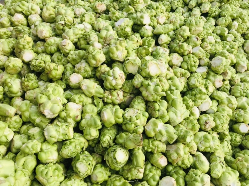 鲜榨菜