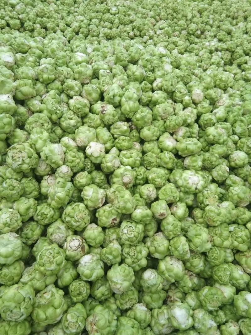 鲜榨菜