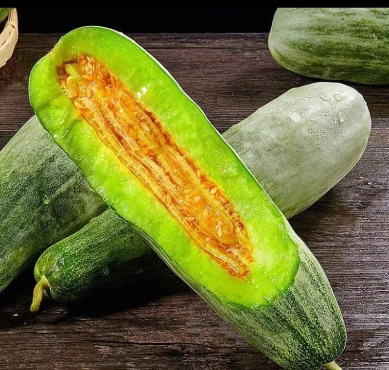 山东单县羊角蜜甜瓜，一手货源货量充足，视频看货价格可谈