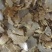土壤改良肥有机肥棉籽饼果园蔬菜基地适用量大从优