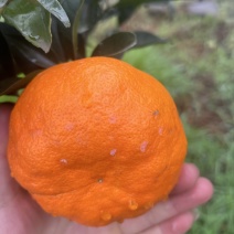 明日见