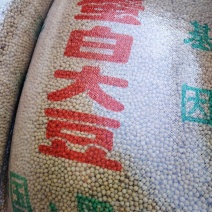 颗颗饱满，做豆浆、打豆腐，味道纯正得没话说