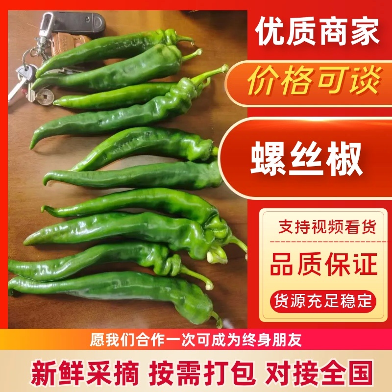 海南螺丝椒，大量上市，品质优良，欢迎咨询选购