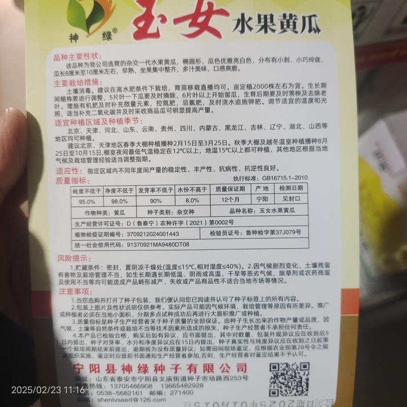 神绿玉女黄瓜种子40粒杂交阳台盆栽甜脆迷你蔬菜种籽早熟