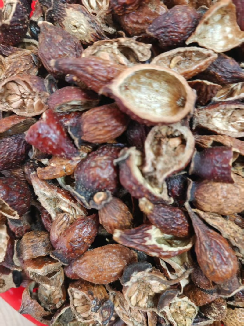 金樱子，大量出售，需要的联系，诚信买卖，价格优美