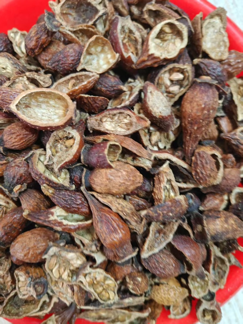 金樱子，大量出售，需要的联系，诚信买卖，价格优美