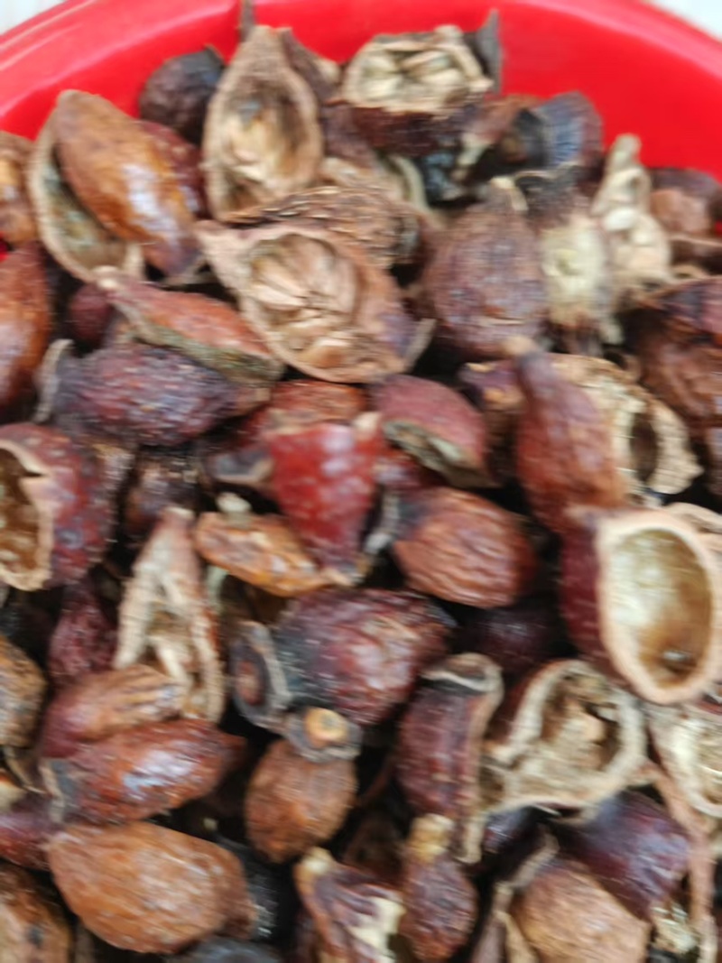 金樱子，大量出售，需要的联系，诚信买卖，价格优美