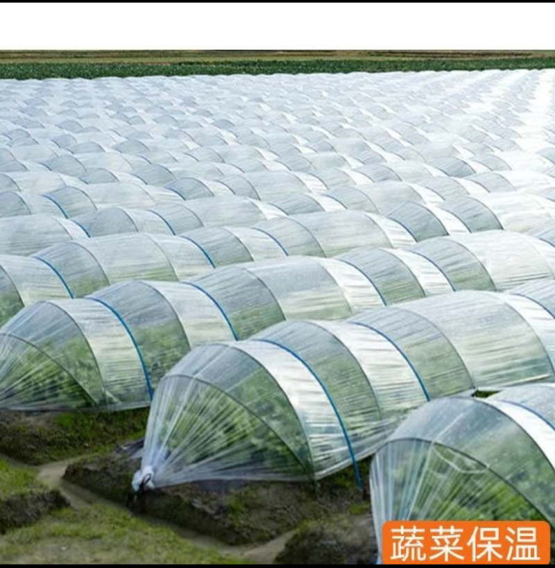 白色地膜保湿膜农用白地膜塑料膜果园蔬菜大棚薄膜微膜保温