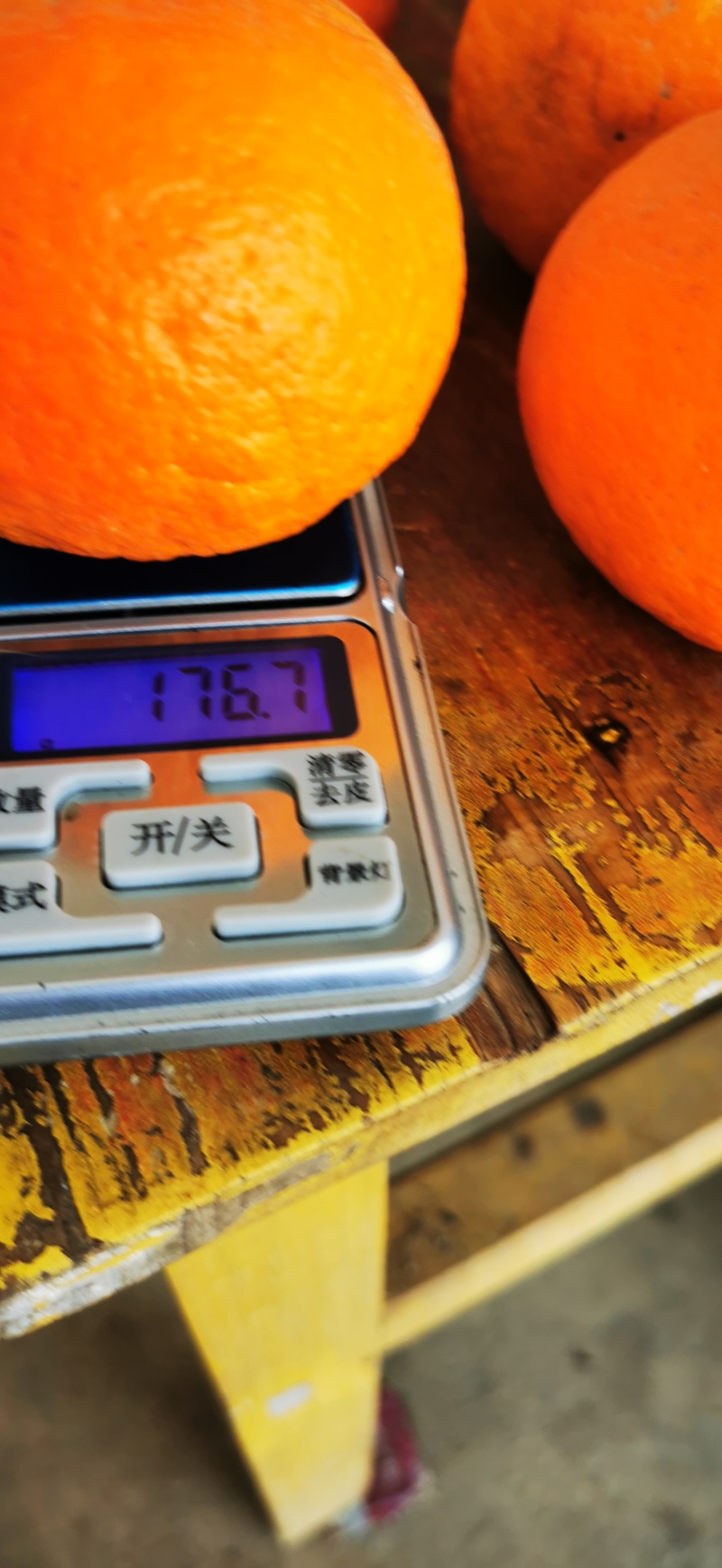 云南云南保山沃柑三百万斤，需要需要全国各地采购商，欢迎来。
