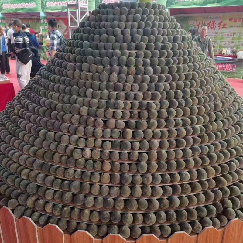 化橘红