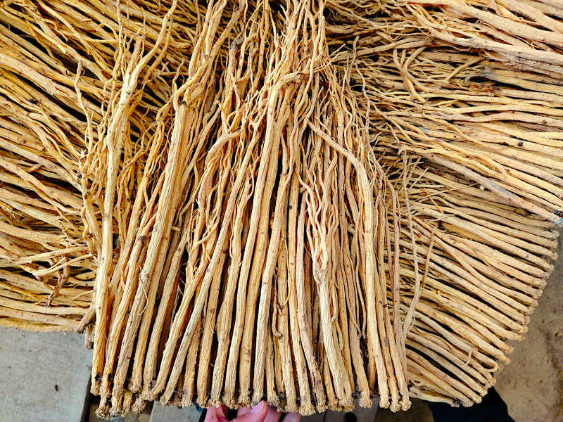 精品白条党参干货质量保证量大从优规格齐全欢迎咨询