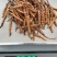 冬虫夏草【虫草】支持货到开箱验货，可发往全国市场！诚信经营