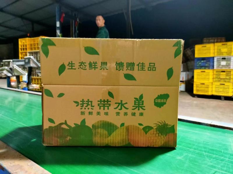晓蜜25哈密瓜（民勤哈密瓜）产地一手货源，对接全国客商