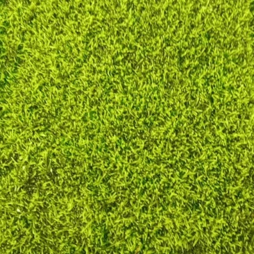 优叶白发苔藓植物做永生好产品有人工种植的大灰苔人工小灰苔
