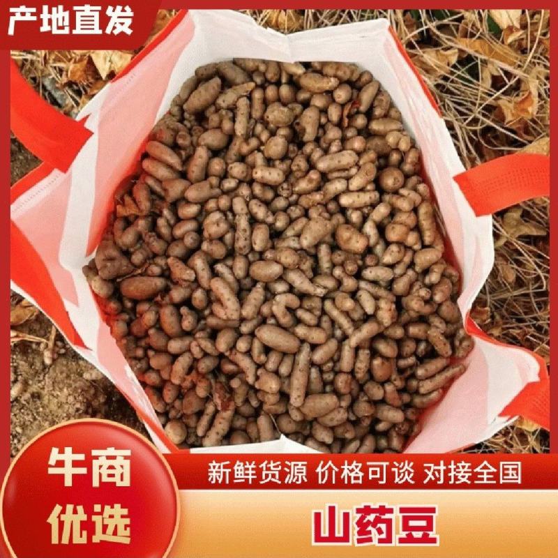 山药豆电商货对接各大平台市场商超糖葫芦专用牛羊养殖用