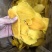 芒果干当季新货热带特产东南亚芒果干软糯香甜
