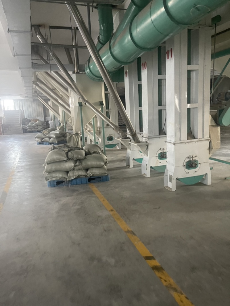 【诚信卖家】黑龙江绥化大米大量有货欢迎来电咨询