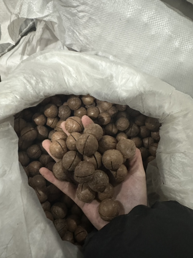 夏威夷果品质好价格优惠，量大价更优。个位数喜欢来约
