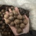 夏威夷果品质好价格优惠，量大价更优。个位数喜欢来约